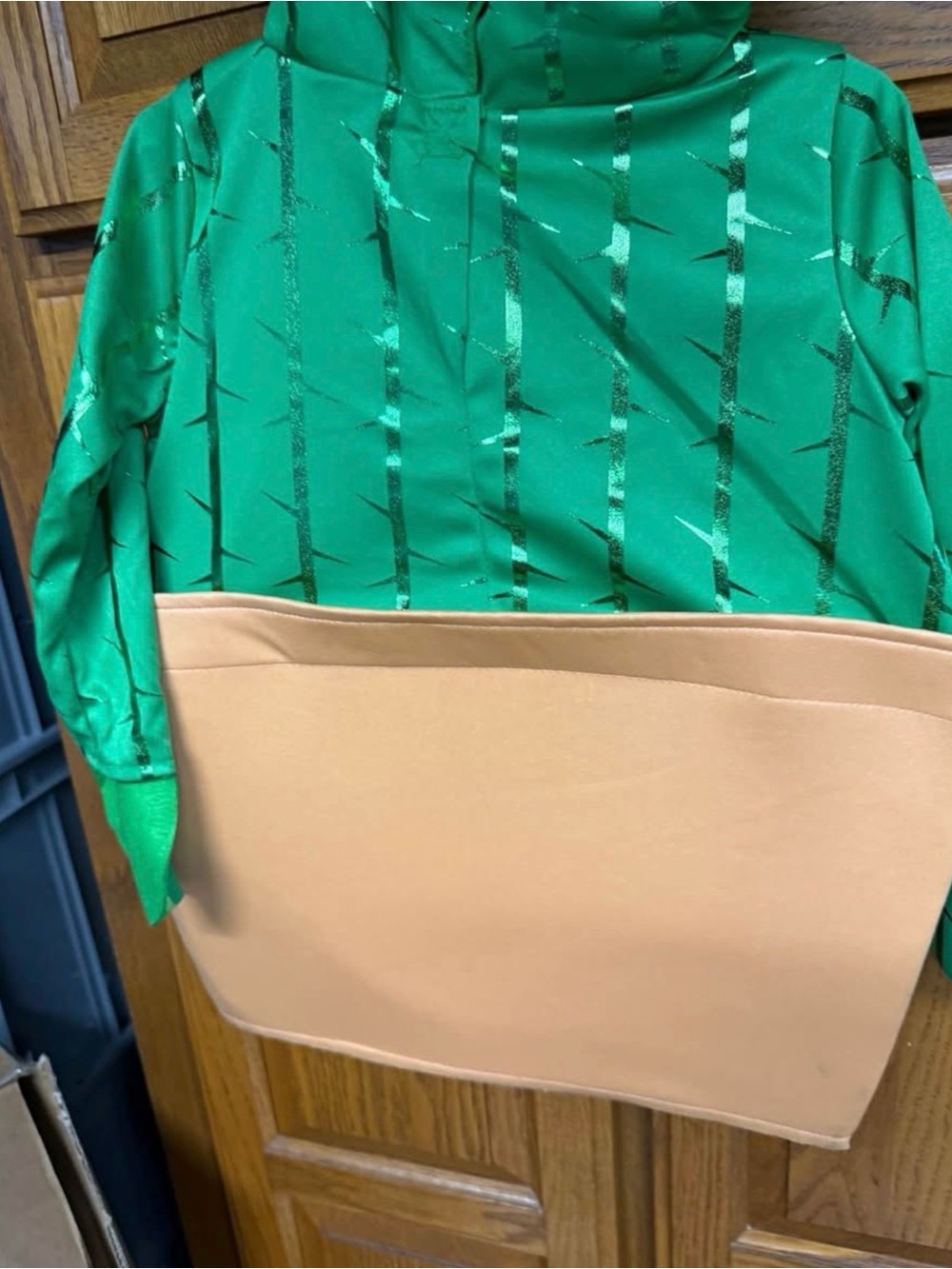 2-3t cactus costume
